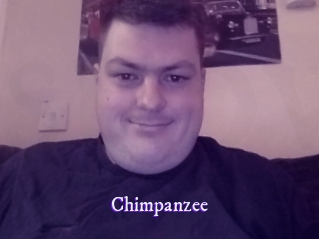 Chimpanzee