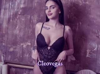 cleovegas Super Webcam