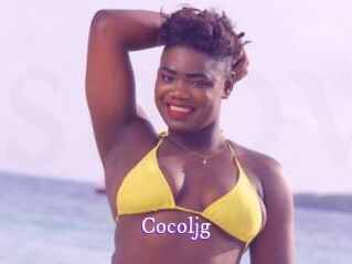 cocoljg Super Webcam