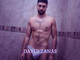 DAVID_ZANAS