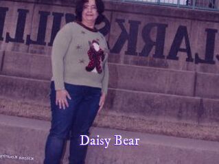 Daisy_Bear