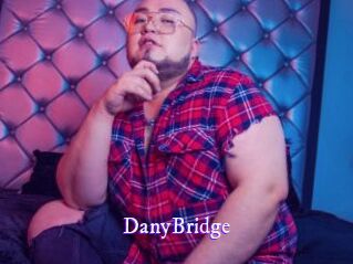 DanyBridge Super Webcam