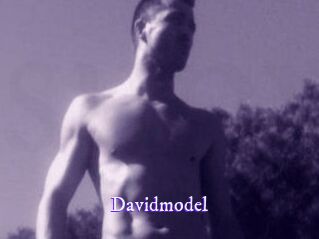 Davidmodel