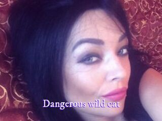 Dangerous_wild_cat