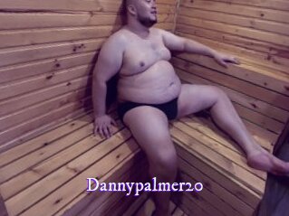 Dannypalmer20