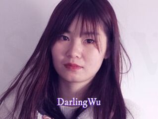 darlingWu Super Webcam