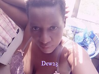 Dew23