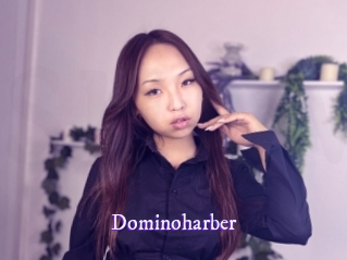 dominoharber Super Webcam