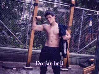 dorian_bull Super Webcam