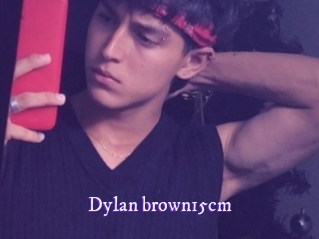 Dylan_brown15cm