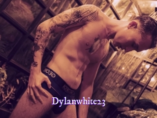 Dylanwhite23