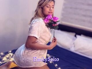 EmilySaito Super Webcam