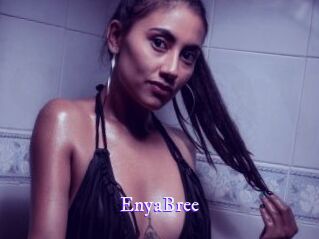 EnyaBree Super Webcam