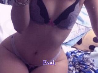 Evah Super Webcam