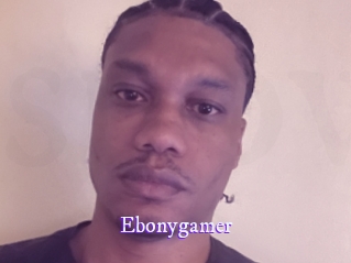 ebonygamer Super Webcam