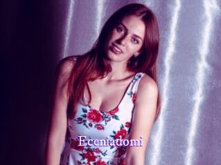 eceniadomi Super Webcam