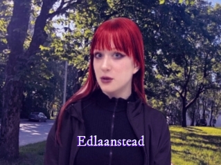 edlaanstead Super Webcam