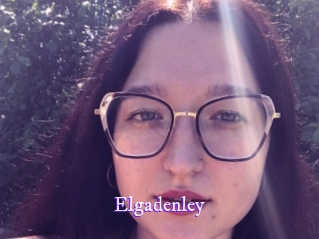 elgadenley Super Webcam