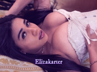 Elizakarter
