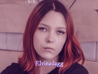 Elvinadagg