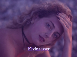 Elvinaesser