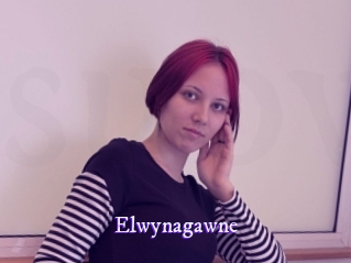 Elwynagawne