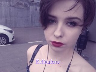 erlinabate Super Webcam