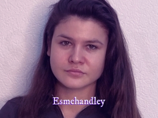 Esmehandley