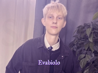 evabiolo Super Webcam