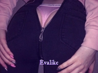 evalike Super Webcam