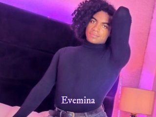 evemina Super Webcam