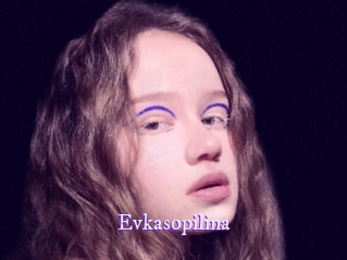 evkasopilina Super Webcam