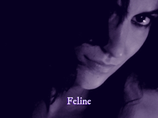 Feline