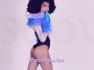 Fenixteninches