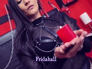 fridahall Super Webcam
