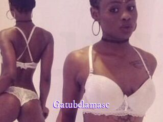 Gatubela_masc Super Webcam