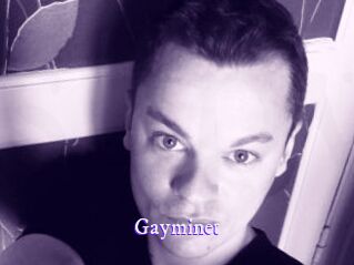 Gayminet