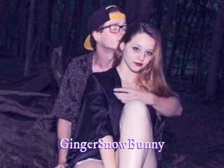 GingerSnowBunny