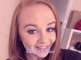 GingerXSpice