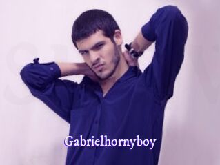 gabrielhornyboy Super Webcam
