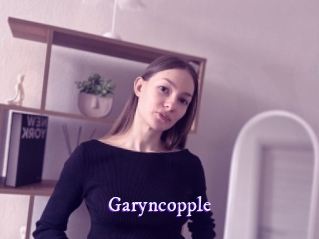 garyncopple Super Webcam