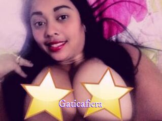 Gaticafiera