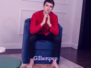 Gilbertpup