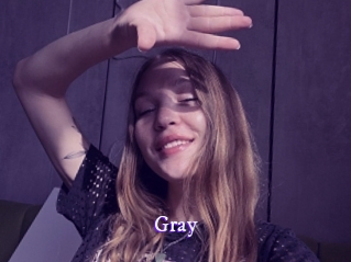 gray Super Webcam