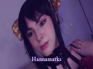 hannamarks Super Webcam