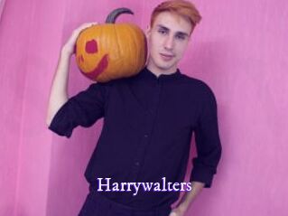 Harrywalters