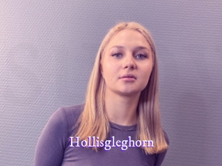 Hollisgleghorn