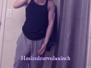 Hosizedcurvedxxinch