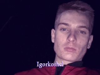 Igorkoshel