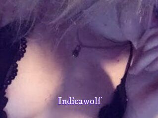 Indicawolf